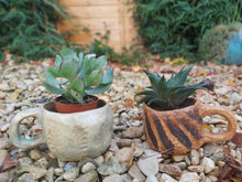 Load image into Gallery viewer, The Creative Clay Club