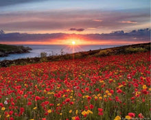 Load image into Gallery viewer, Art and Wellness Retreat Cornwall Ruth Wheeler 22nd- 29th May 2026