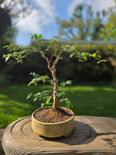 Load image into Gallery viewer, The Creative Clay Club