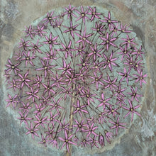 Load image into Gallery viewer, Pyrography All Day Workshop