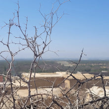 Load image into Gallery viewer, Morocco Retreat 2025