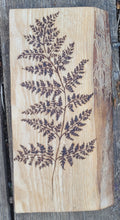 Load image into Gallery viewer, Fern on Oak
