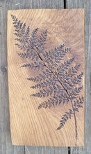 Load image into Gallery viewer, Fern on Oak
