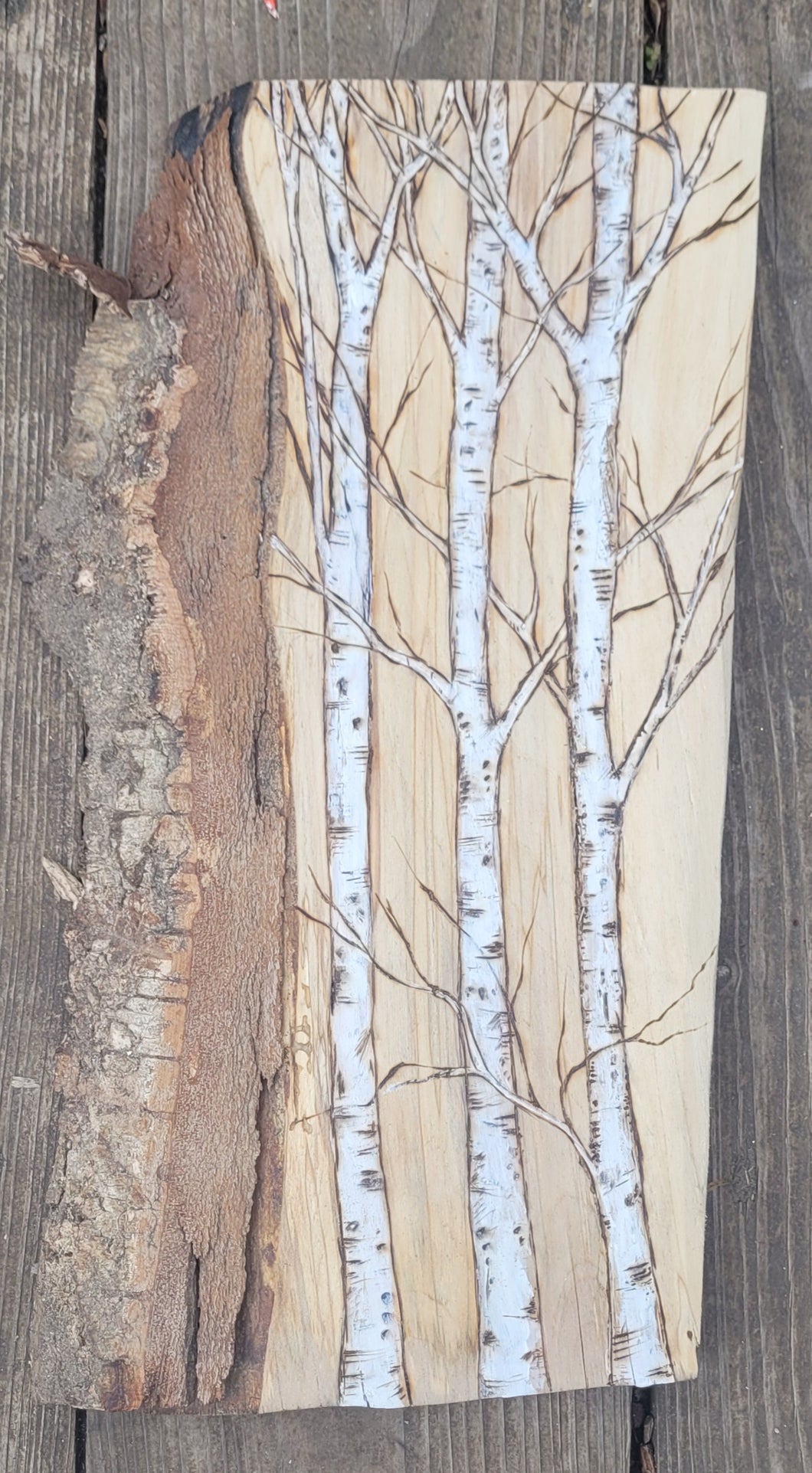 Birch on Birch Wood with Bark
