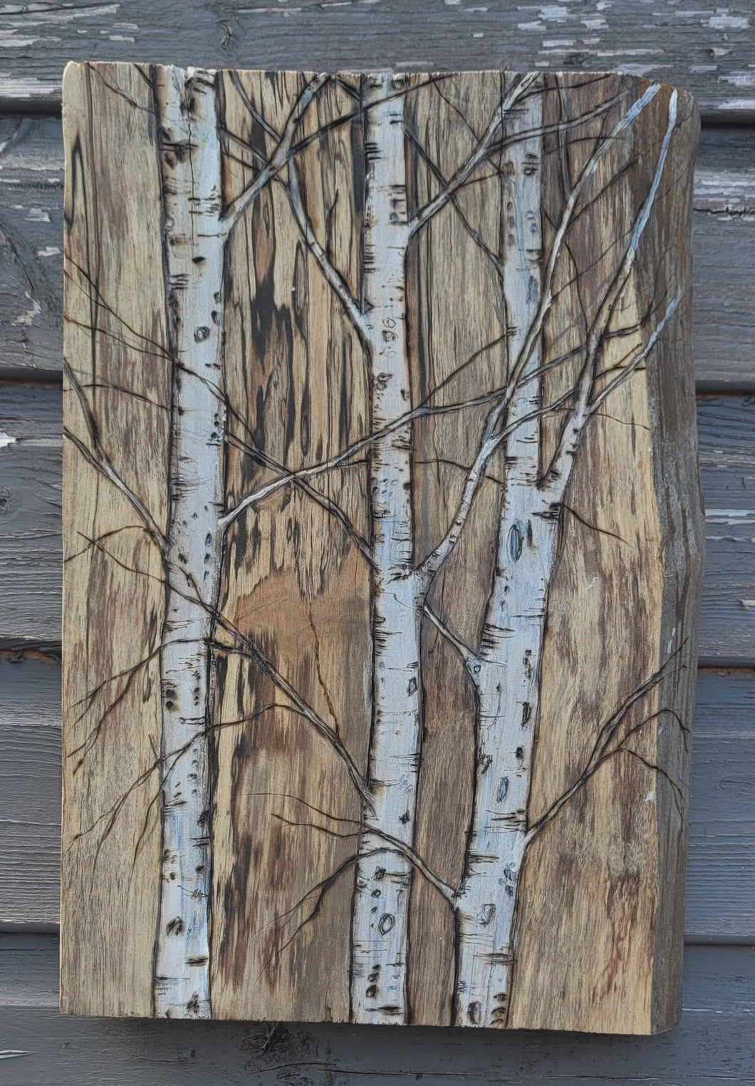Birch on Birch Wood 1