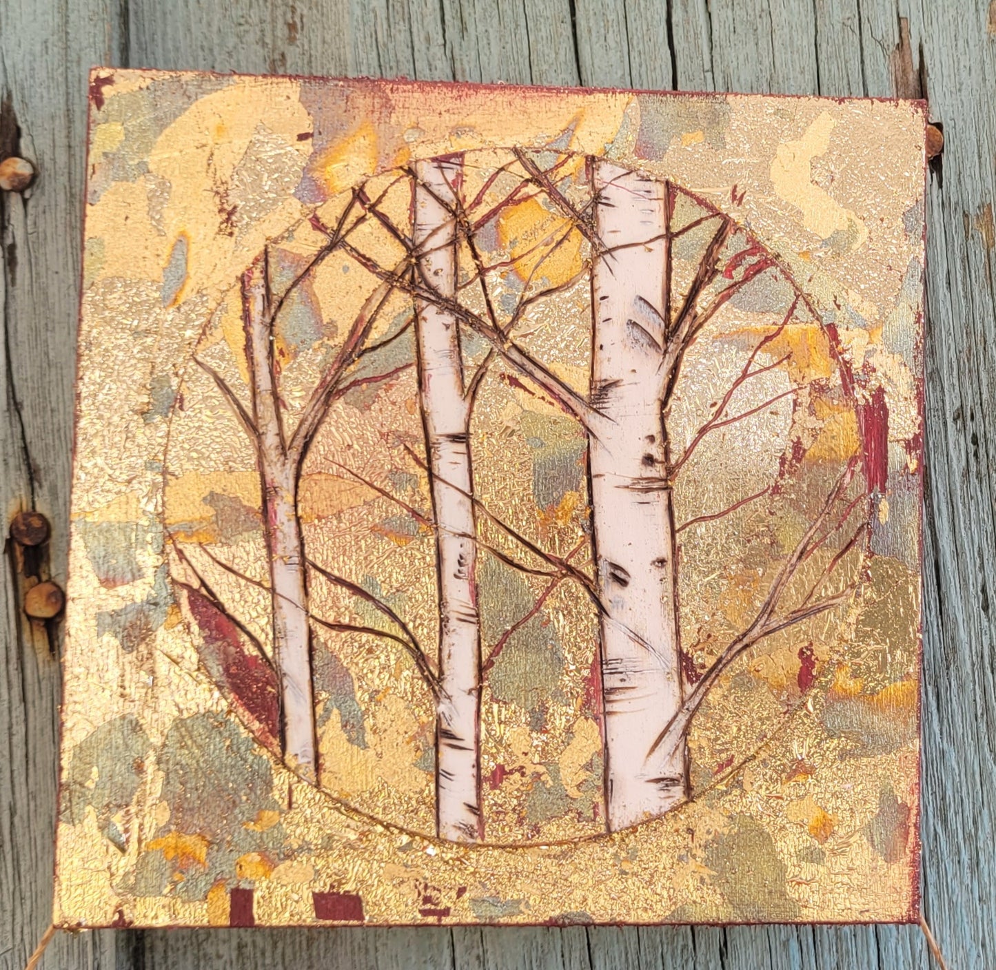 Mini  Birch Trees forest round on a square.