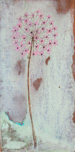 Allium mini canvas