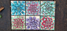 Load image into Gallery viewer, Alpine Collection
