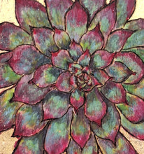 Load image into Gallery viewer, Alpine Collection
