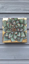 Load image into Gallery viewer, Alpine Collection
