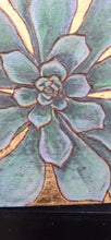 Load image into Gallery viewer, Alpine Collection
