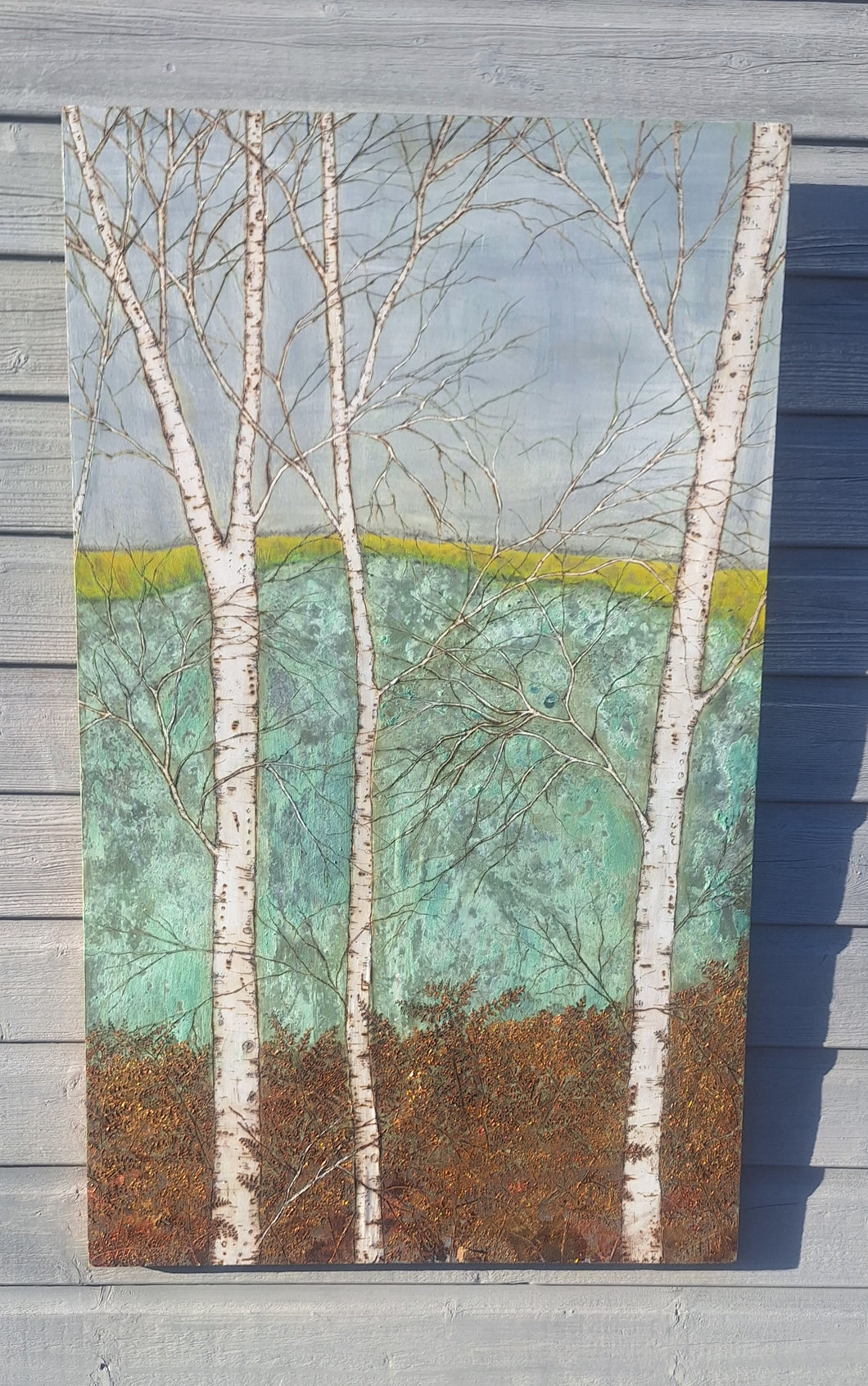 Birch forest and fields