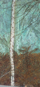Birch forest and fields