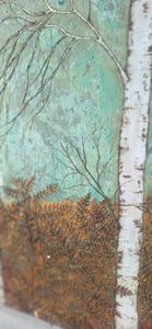 Birch forest and fields