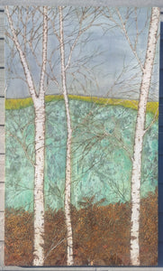 Birch forest and fields
