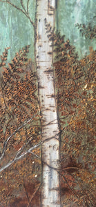 Birch forest and fields