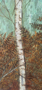 Birch forest and fields