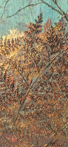Birch forest and fields
