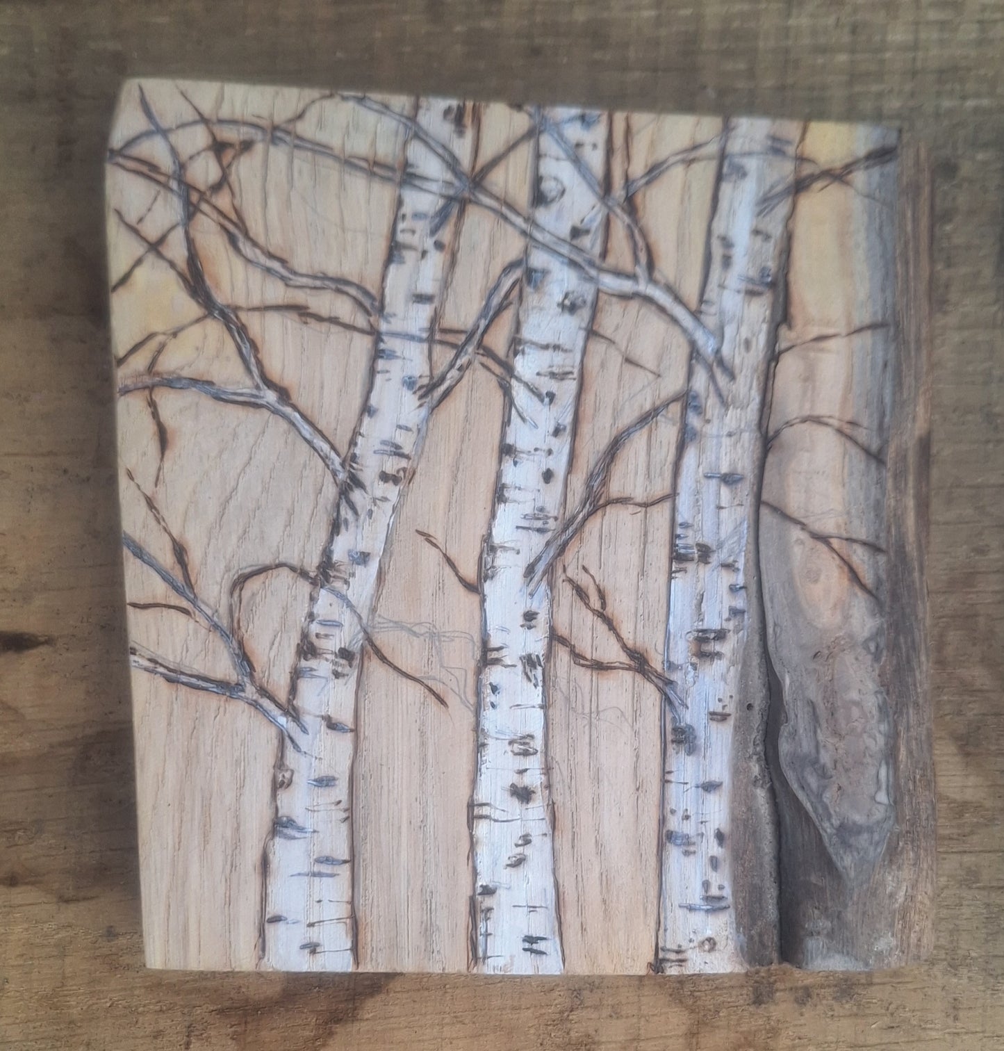 Birch on Rustic Wood