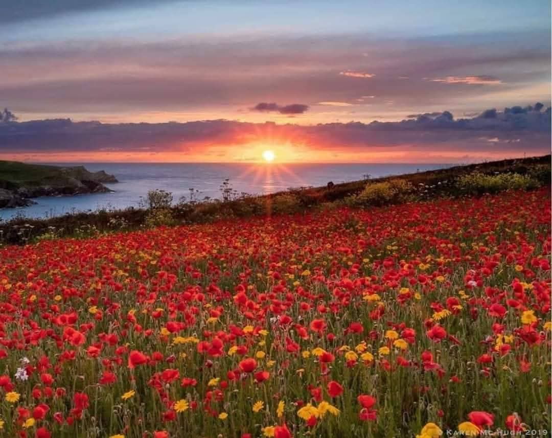 Art and Wellness Retreat Cornwall      Ruth Wheeler         22nd- 29th May 2026