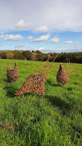 Willow Sculpture with Judith Needham