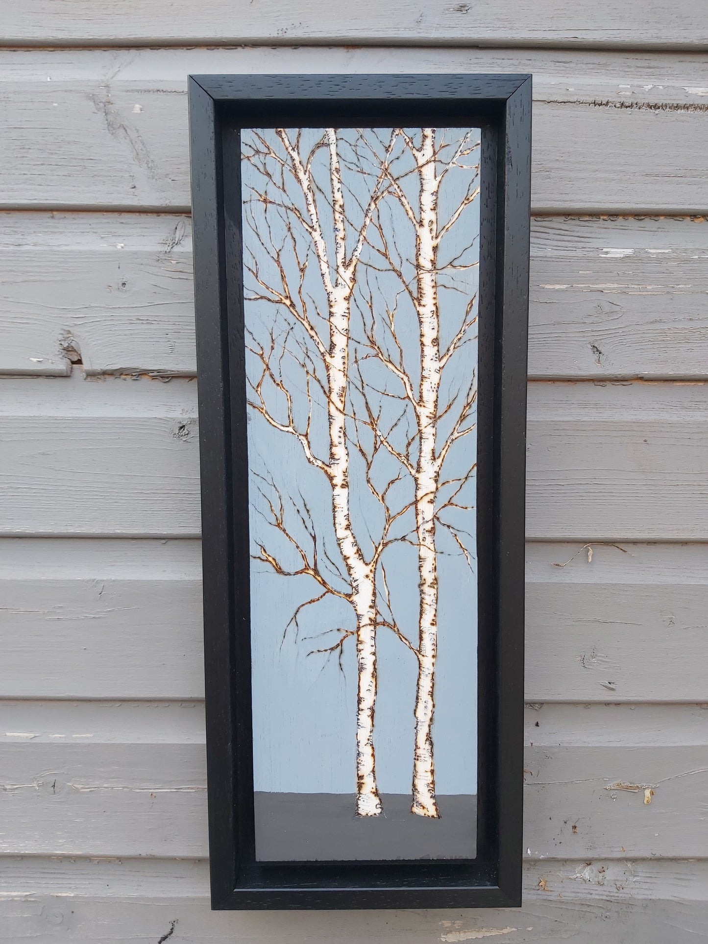 Baby Blue  Birch Art