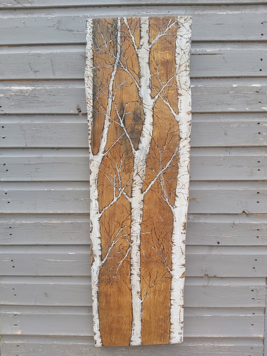 Graceful Birch Trees