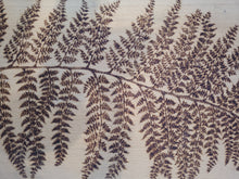 Load image into Gallery viewer, XL Fern on Beech Wood
