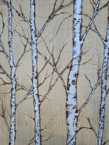 Birch Tree (medium)