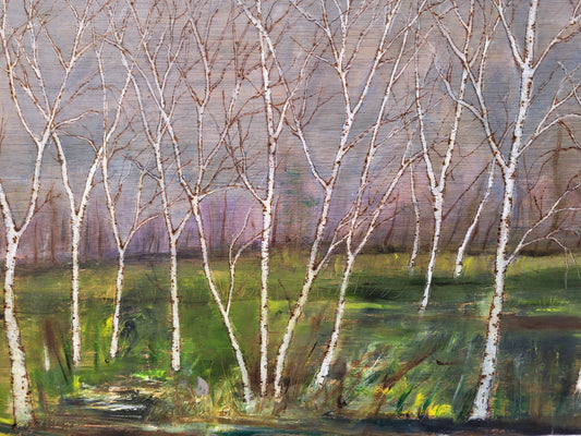 Spring Birch Landscape
