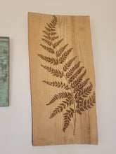Load image into Gallery viewer, Fern on Beech
