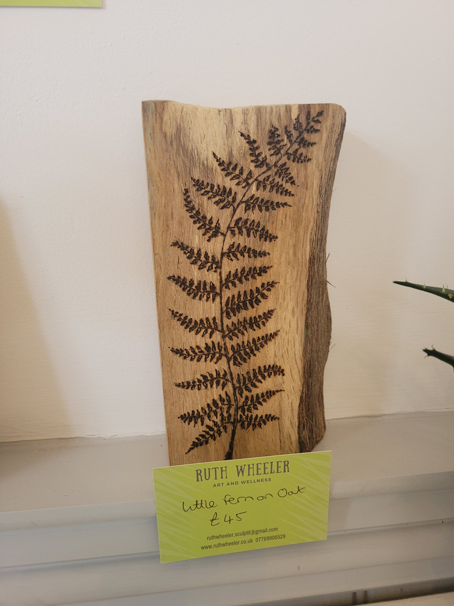 Little Fern on Oak