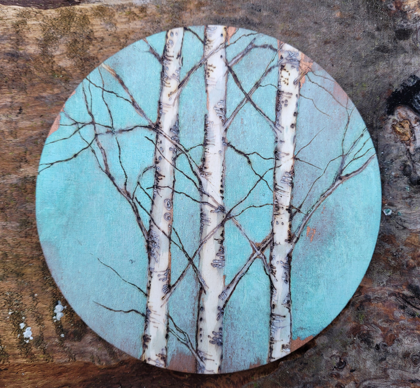 Round Birch Art