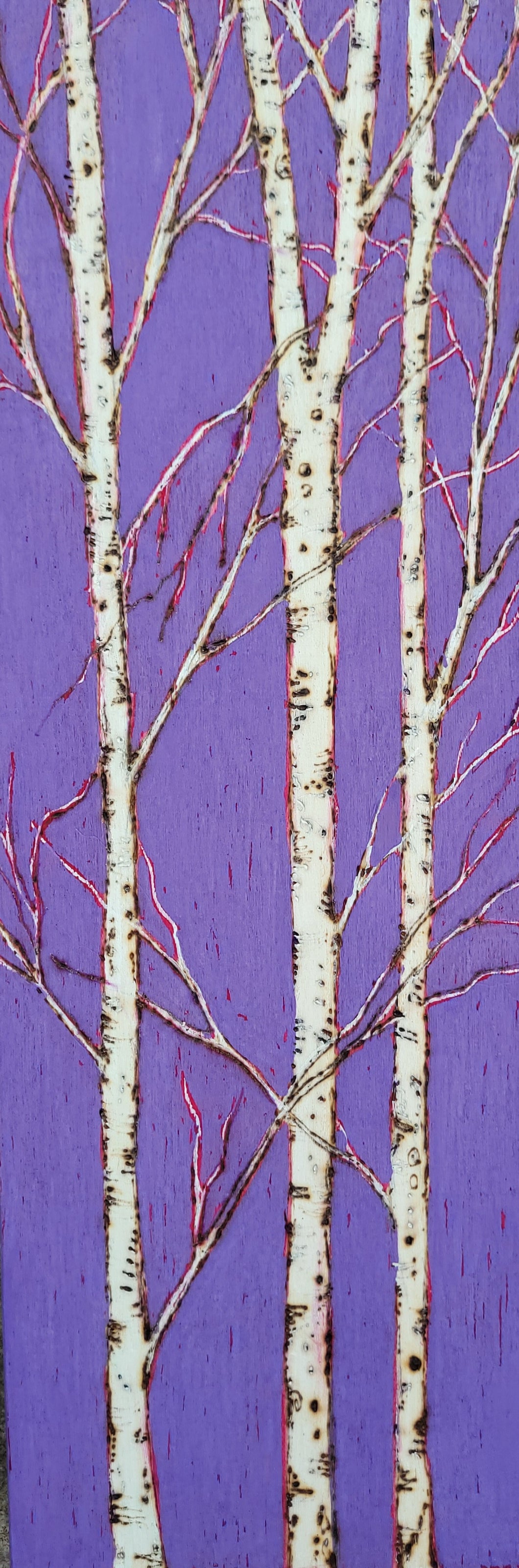 Purple Birch