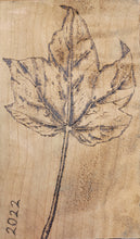 Load image into Gallery viewer, The Art of Pyrography Workshop
